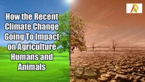 climatic-change