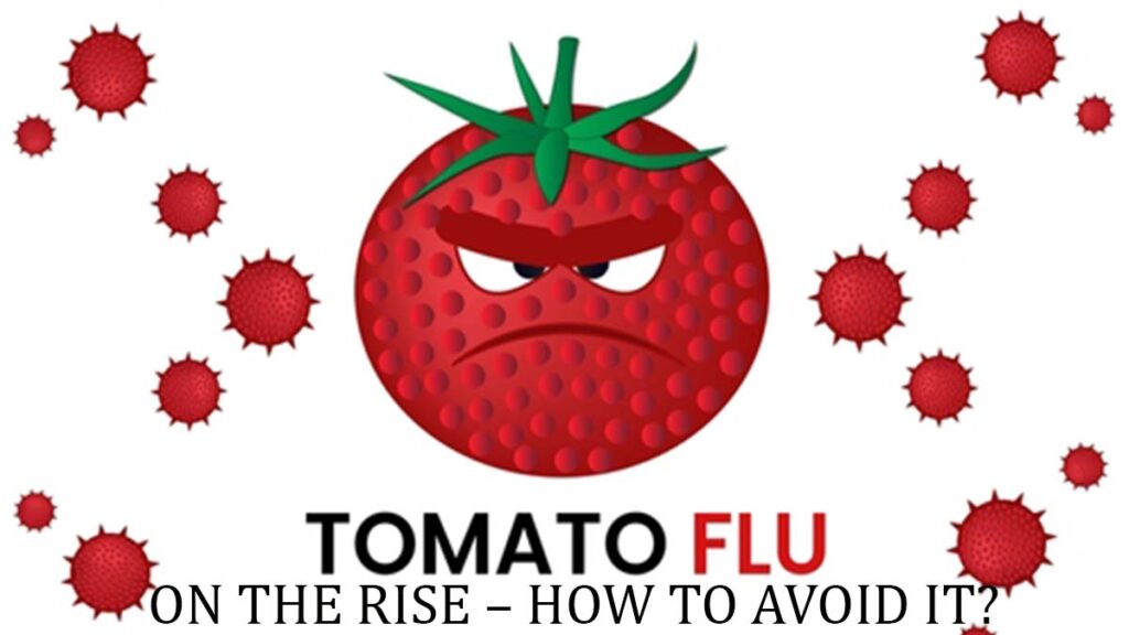 tomato-flu-disease