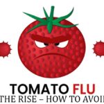 tomato-flu-disease