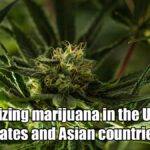 Legalizing-marijuana-in-the-United-States-and-Asian-countries
