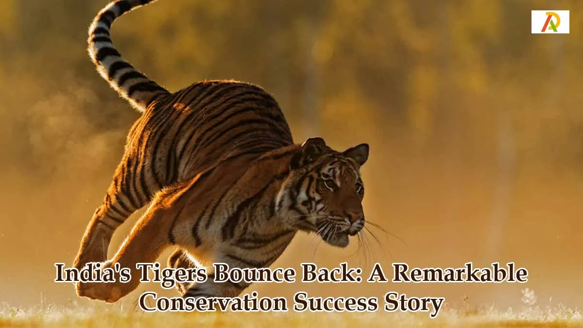 Tigers