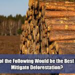 Which-of-the-Following-Would-be-the-Best-Way-to-Mitigate-Deforestation