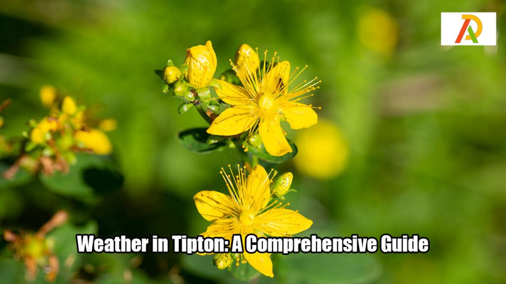 Weather-in-Tipton-A-Comprehensive-Guide