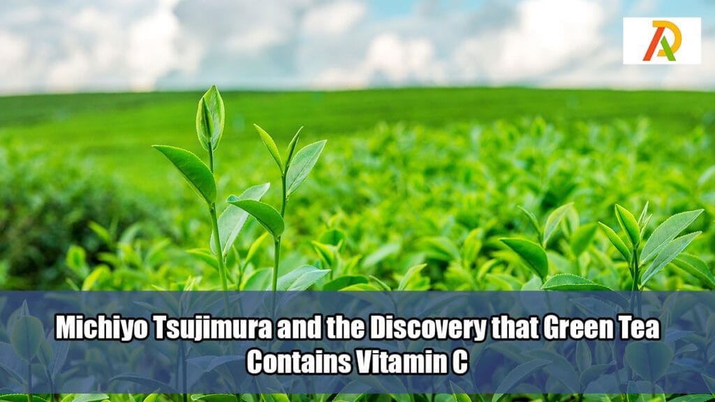 Michiyo-Tsujimura-and-the-Discovery-that-Green-Tea-Contains-Vitamin-C