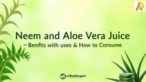 wellhealthorganic.com : neem and aloe vera juice